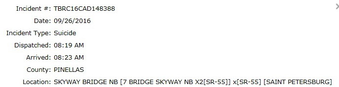  skyway bridge 